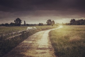 （示意圖：互聯網）