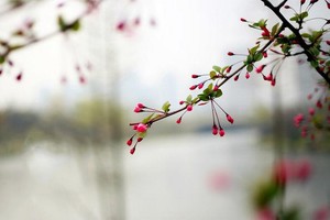 （示意圖：互聯網）