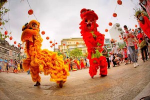 醒師拜年  陳光明攝