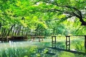 （示意圖：互聯網）