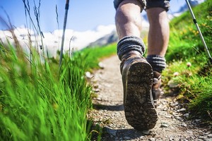 每天應晨走７大理由