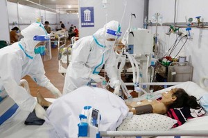 在各所野戰醫院服務抗疫的醫務人員。