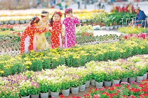 （示意圖：互聯網）