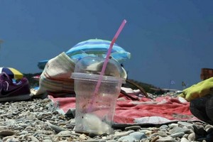 塑料污染到達世界海洋各個角落。（圖：WWF）