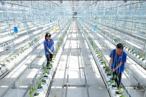 朝鮮2021年經濟穩步發展。（圖：新華社）