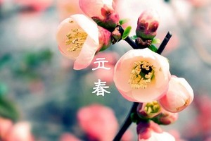 （示意圖：互聯網）