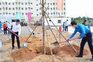 峴港市勞動聯團主席阮維明參加植樹活動。（圖：VOV）