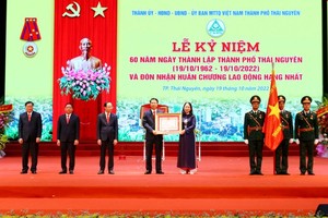 代表黨和國家領導，代表黨和國家領導，國家副主席武氏映春向太原市黨部、政府及人民頒授一等勞動勳章。（圖：太原報）