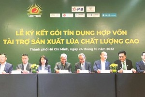 合作擴大生產優質水稻