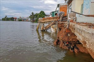 茶諾河岸侵蝕嚴重，威脅著人們的生命和財產安全。（圖：越通社）