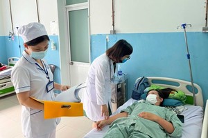 本市加強開展應對登革熱病措施。