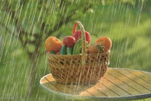 （示意圖：互聯網）