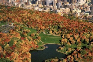 皇家山被評為20個世界最佳城市公園之一。