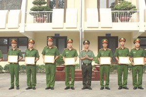 同奈公安 161 號工作組獲表彰