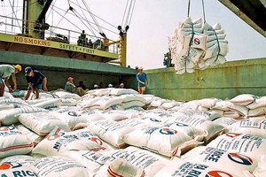 大米裝船。（圖：互聯網）