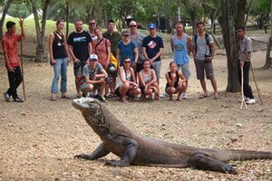 遊客與瀕臨滅絕的科莫多龍合照。