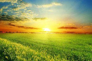 （示意圖：互聯網）