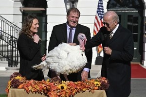 拜登“赦免”感恩節幸運火雞