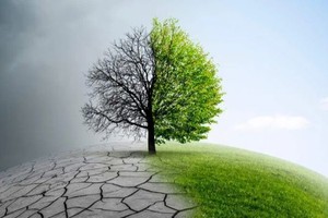 （示意圖：互聯網）