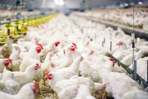 （示意圖：互聯網）