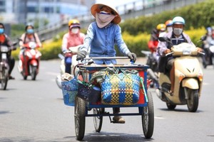 自願社保政策現未吸引得到自由勞工參加。