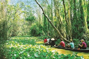 遊客乘坐參觀紹橘。