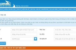 為了檢查電子車票是否合法，乘客應登入網頁dsvn.vn車票檢查欄目。（圖：網站截圖）