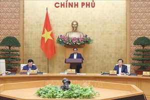 法律制定須體制化