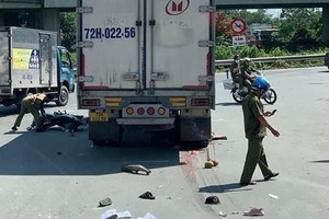 （示意图：VTV）