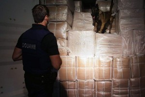 比利时警察的一只缉毒犬在一集装箱货物中进行搜毒检查。（示意图：互联网）