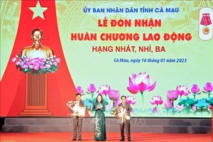 受国家主席委托，武氏映春国家副主席向国会常务委员会委员、国会民愿处主任杨清平与金瓯省省委书记阮进海颁赠国家主席授予的一等劳动勋章。