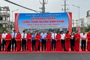 第八郡平登街工程落成