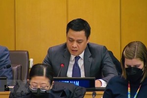越南常驻联合国代表邓黄江大使在会议上发表讲话。（图：越通社）
