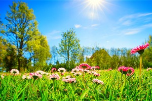 （示意图：互联网）