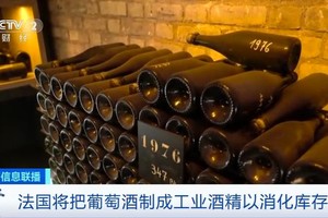 （图：CCTV视频截图）