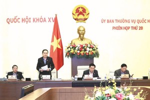 肯定国会对迫切问题之政治决心