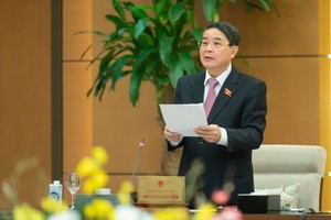 国会副主席阮德海。（图：人民代表官网）