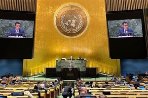 越南常驻联合国代表团团长邓黄江大使在会上发表讲话。（图：越通社）