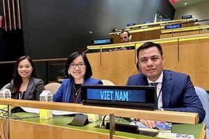 越南常驻联合国代表团团长邓黄江大使一行出席会议。（图：越通社）