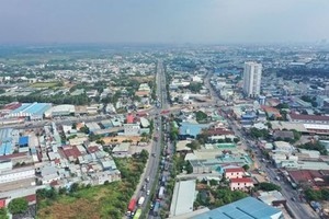 平阳省计划在2022至2024年阶段拍卖7块总面积为274公顷的土地。 （阮草摄）