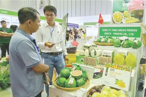 越南推介具有出口优势果蔬