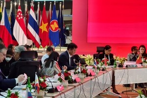 东盟高官会越南代表团代团长武胡大使率团出席东盟与伙伴国系列会议 。（图：越通社）