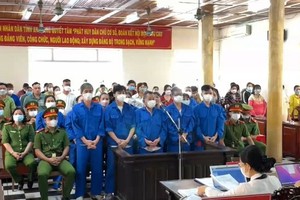 庭审现场。（图：VNews）