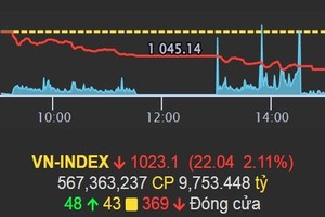 昨(20)日下午，越南股指收盘大跌22.04点，跌幅高达2.11%，报1023.1点。（图：VPS）