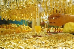 （示意图：苑霞）