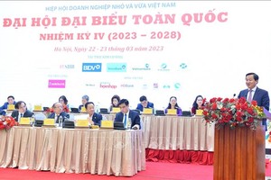 政府副总理黎明概出席大会并发表指导意见。（图：越通社）