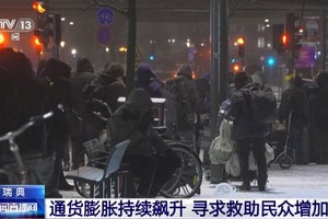 （图：CCTV视频截图）