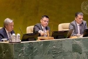 越南常驻联合国代表团长邓黄江（中）大使作为联大副主席主持讨论并通过了这项决议。（图：越通社）