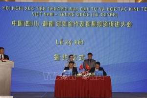越南与中国四川省促进经贸合作