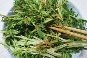 天然抗菌菜「苦菊」